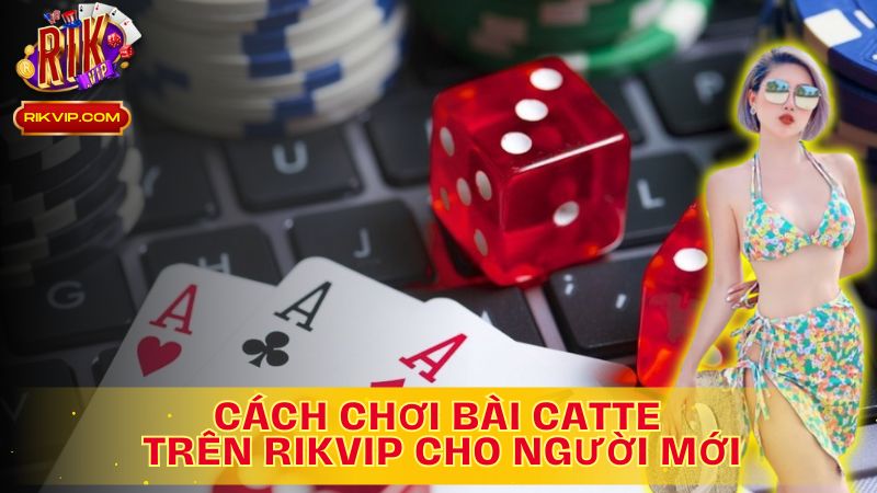 Cách chơi bài Catte đơn giản, trải nghiệm niềm vui bất tận!
