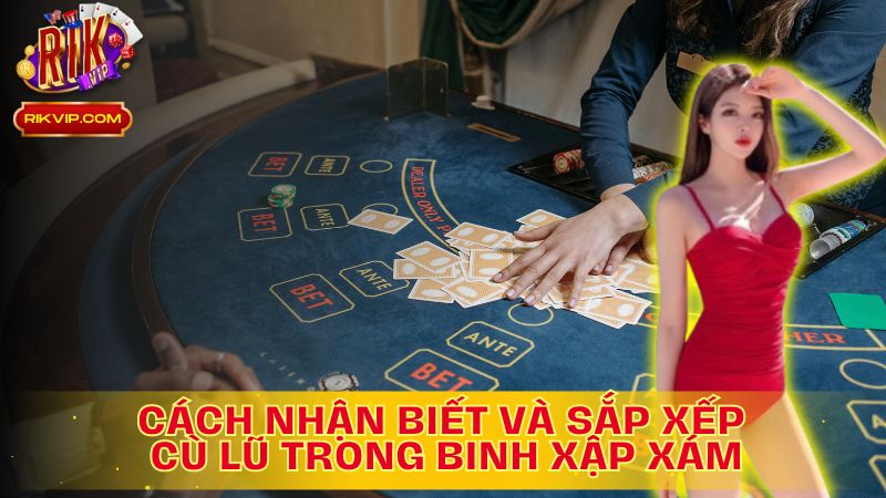 Bí quyết nhận biết và sắp xếp cù lũ: Chìa khóa dẫn đến thành công!