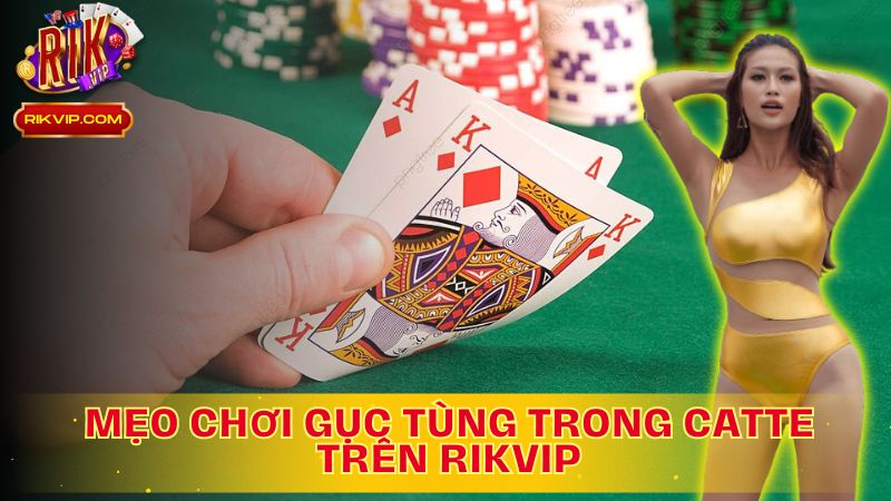 Bí quyết chơi Catte: Đánh bại mọi đối thủ!