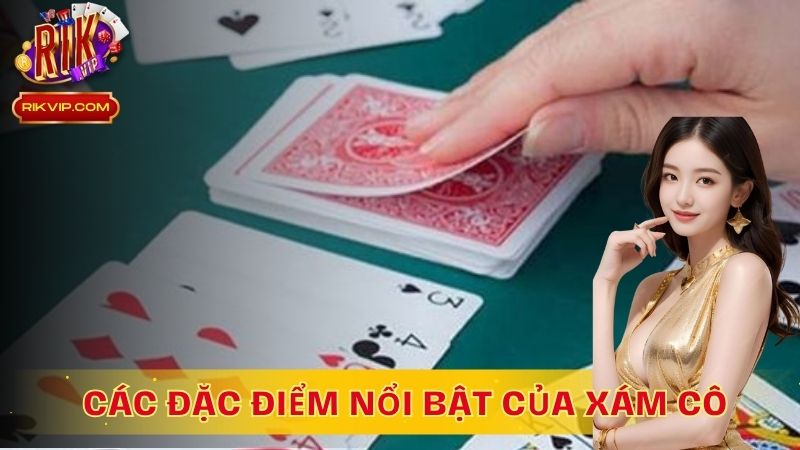 Các đặc điểm nổi bật của xám cô