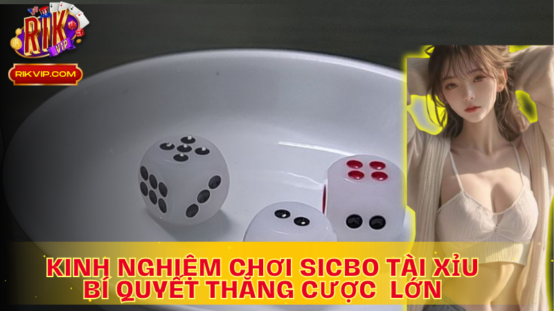 Kinh nghiệm chơi Sicbo Tài Xỉu- bí quyết nâng cao tỉ lệ thắng cược