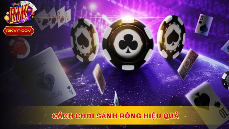Cách chơi sảnh rồng hiệu quả, chính xác cho tân thủ